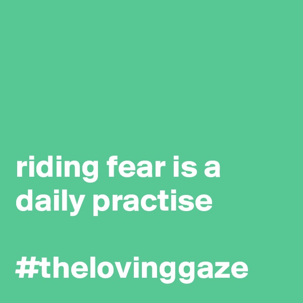 



riding fear is a daily practise

#thelovinggaze