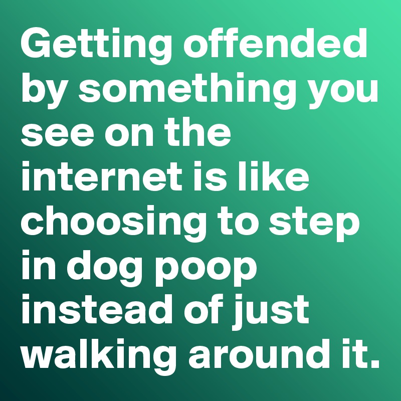 Getting offended by something you see on the internet is like choosing to step in dog poop instead of just walking around it. 