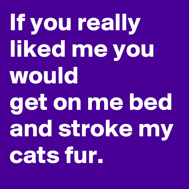 If you really liked me you would 
get on me bed and stroke my cats fur.