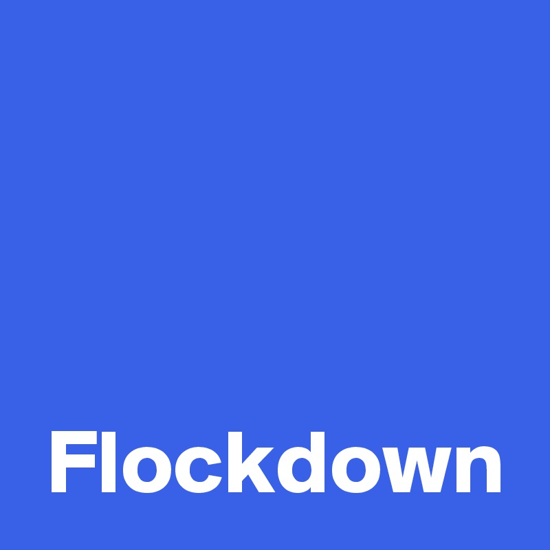 



 Flockdown