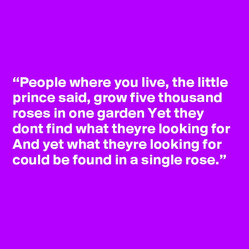 



“People where you live, the little prince said, grow five thousand roses in one garden Yet they dont find what theyre looking for And yet what theyre looking for could be found in a single rose.”


