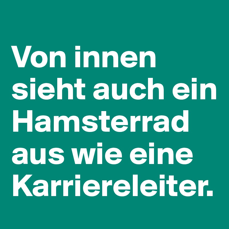 
Von innen sieht auch ein Hamsterrad aus wie eine Karriereleiter. 