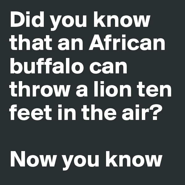 Did you know that an African buffalo can throw a lion ten feet in the air? 

Now you know