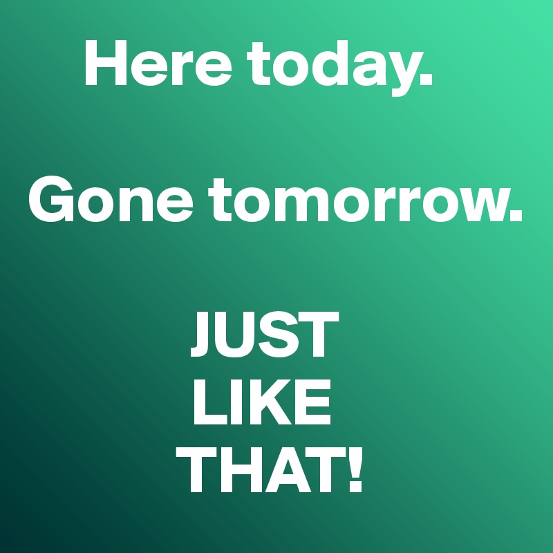 Here Today Gone Tomorrow Just Like That Post By Misterlab On Boldomatic