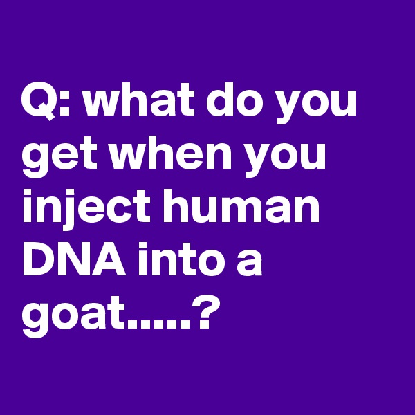 
Q: what do you get when you inject human DNA into a goat.....?
