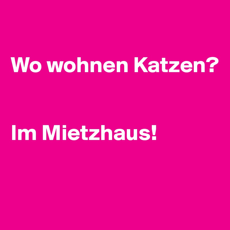 

Wo wohnen Katzen? 


Im Mietzhaus!


