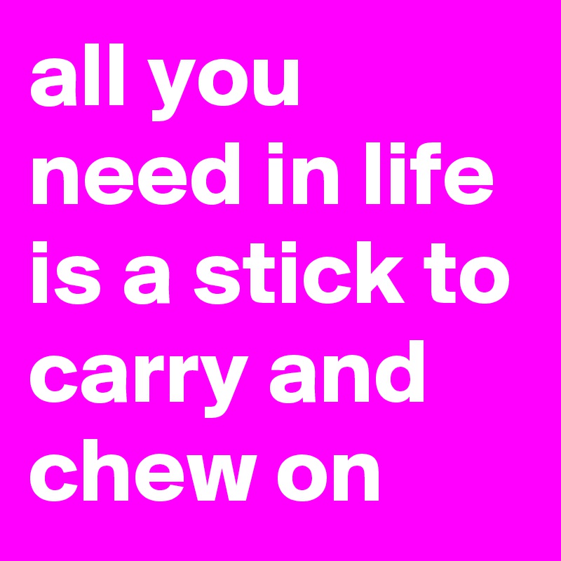 all you need in life is a stick to carry and chew on
