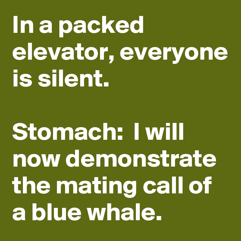 In a packed elevator, everyone is silent.

Stomach:  I will now demonstrate the mating call of a blue whale.