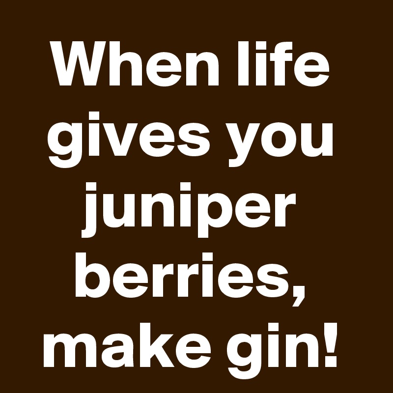 When life gives you juniper berries, make gin!