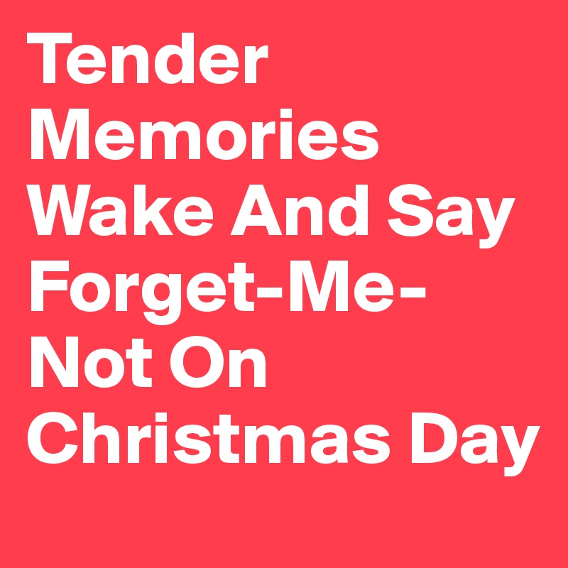 Tender Memories Wake And Say Forget-Me-Not On Christmas Day