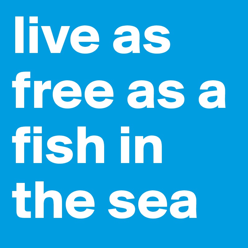 live as free as a fish in the sea