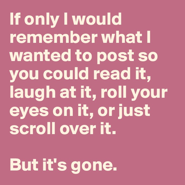 If only I would remember what I wanted to post so you could read it, laugh at it, roll your eyes on it, or just scroll over it. 

But it's gone. 