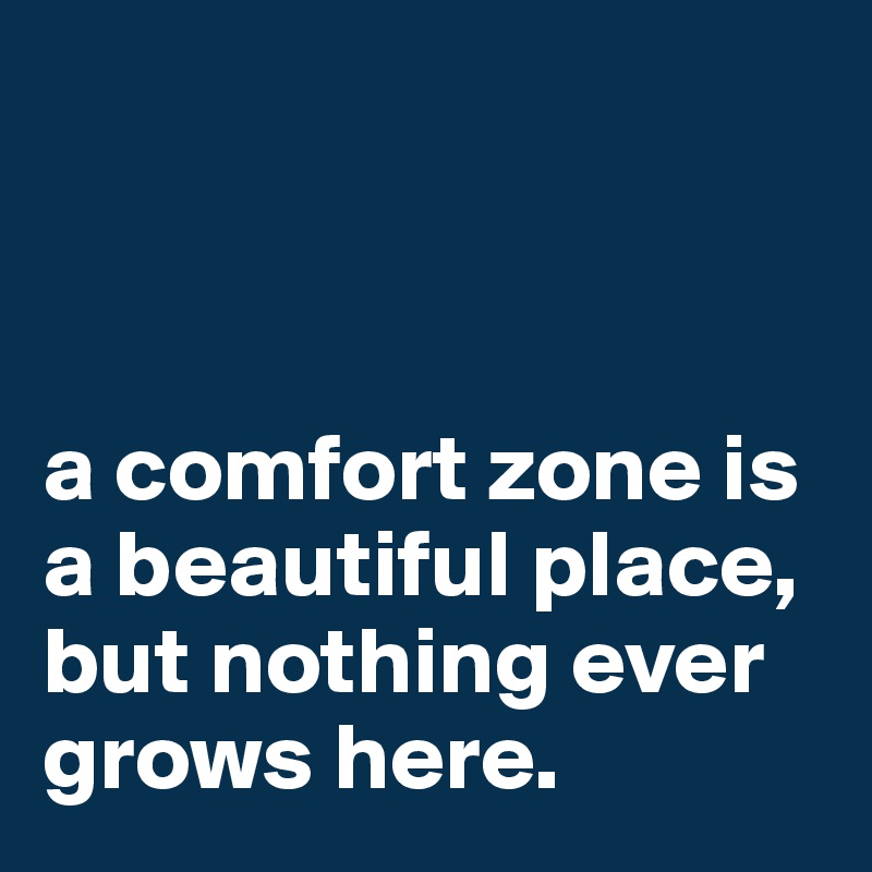 a comfort zone is a beautiful place, but nothing ever grows here ...