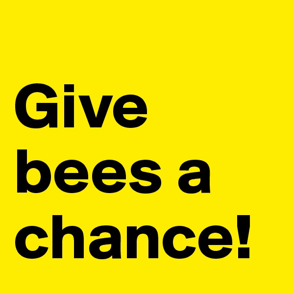
Give bees a chance!