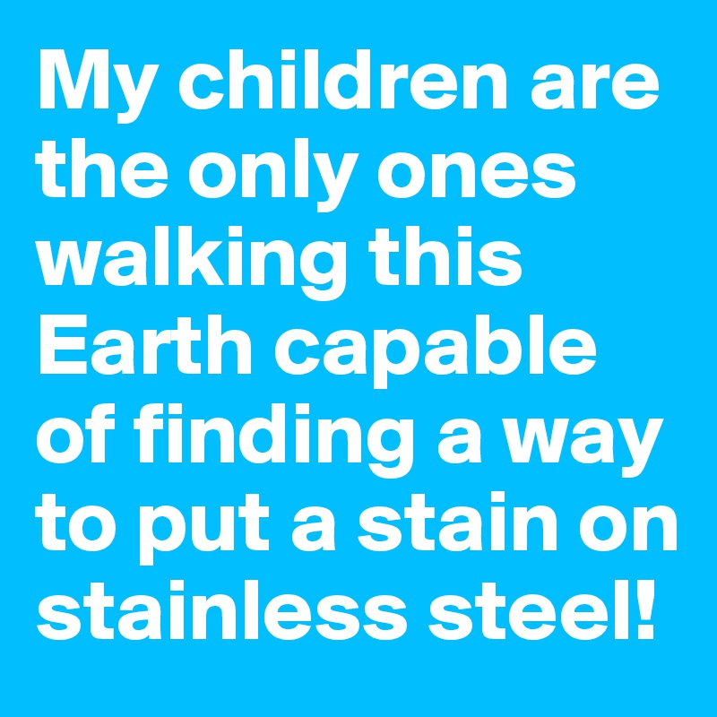 My children are the only ones walking this Earth capable of finding a way to put a stain on stainless steel!