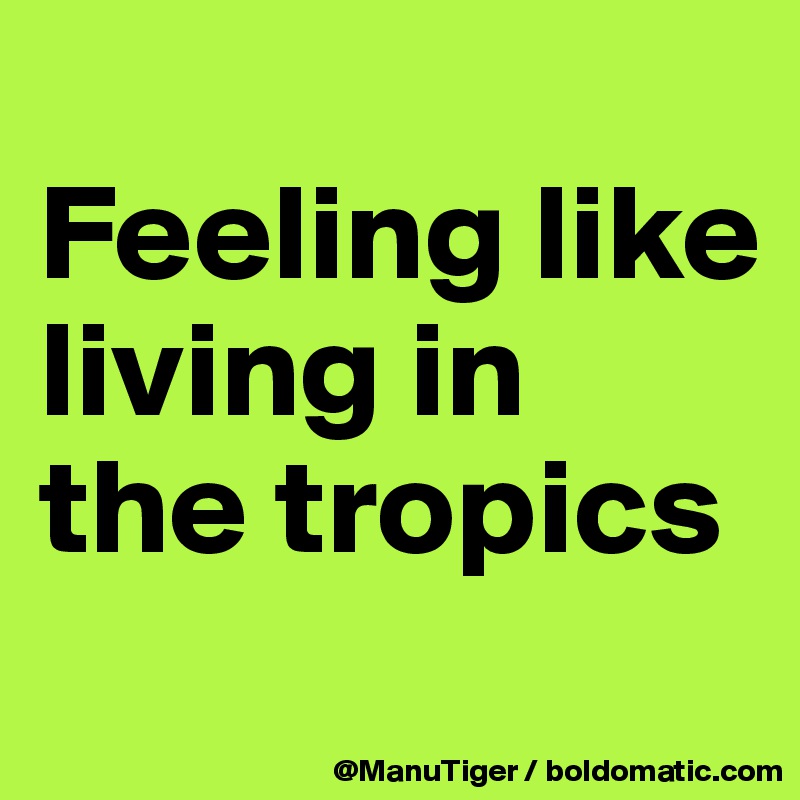 
Feeling like living in the tropics
