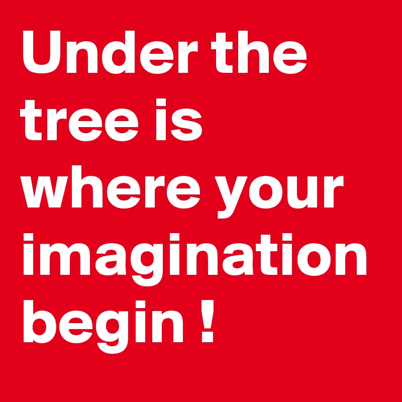 Under the tree is where your imagination begin !