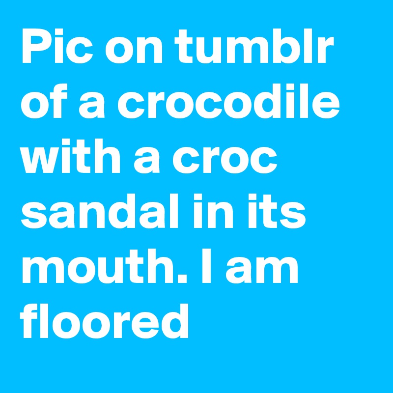 Pic On Tumblr Of A Crocodile With A Croc Sandal In Its Mouth I Am