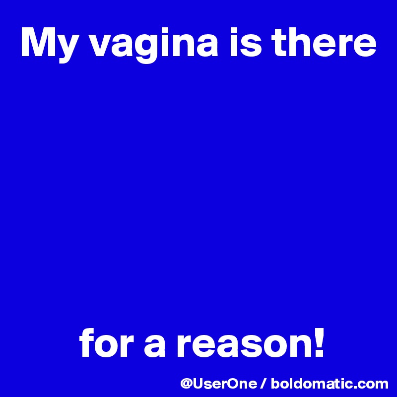 My vagina is there






       for a reason!