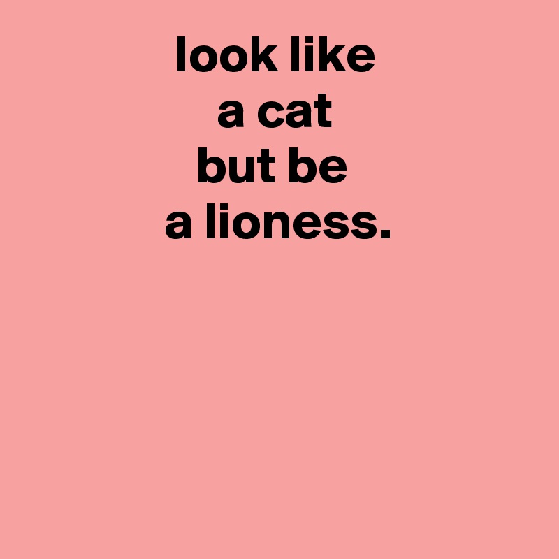               look like
                  a cat
                but be
             a lioness.




