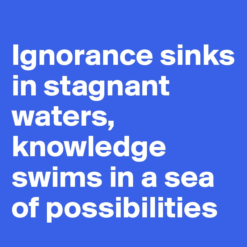 
Ignorance sinks in stagnant waters, knowledge swims in a sea of possibilities