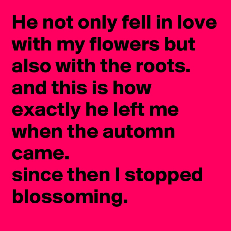 He not only fell in love with my flowers but also with the roots.
and this is how exactly he left me when the automn came.
since then I stopped blossoming.