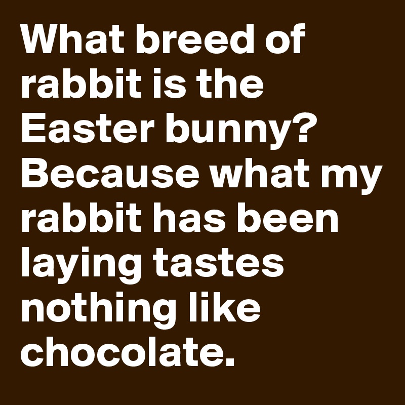 What breed of rabbit is the Easter bunny? Because what my rabbit has been laying tastes nothing like chocolate.
