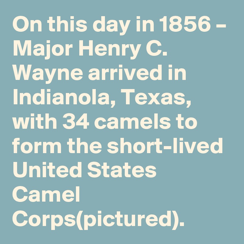 On this day in 1856 – Major Henry C. Wayne arrived in Indianola, Texas, with 34 camels to form the short-lived United States Camel Corps(pictured).