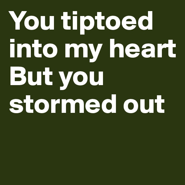 You tiptoed into my heart
But you stormed out

