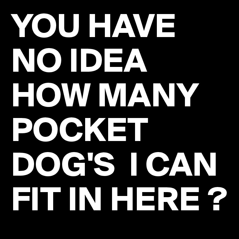 YOU HAVE NO IDEA HOW MANY POCKET DOG'S  I CAN FIT IN HERE ?