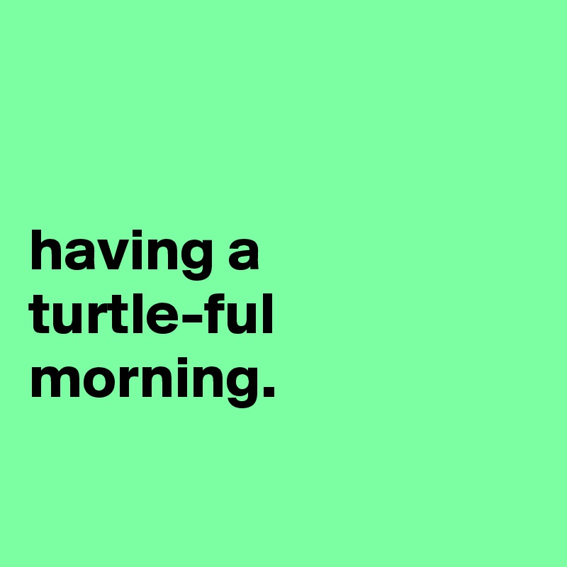 


having a
turtle-ful
morning.

