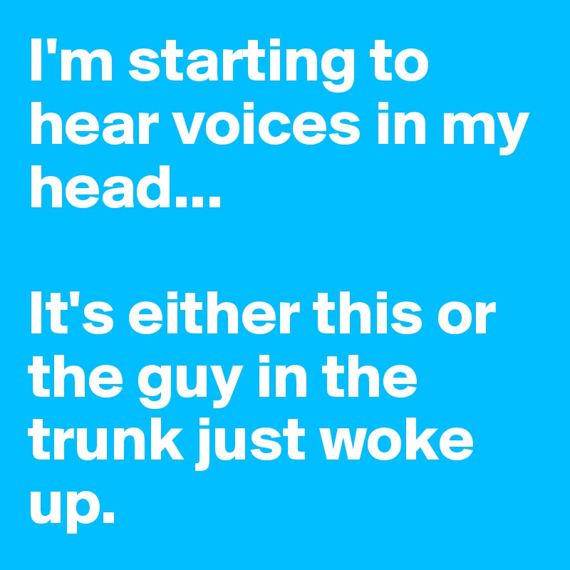 I'm starting to hear voices in my head...

It's either this or the guy in the trunk just woke up.