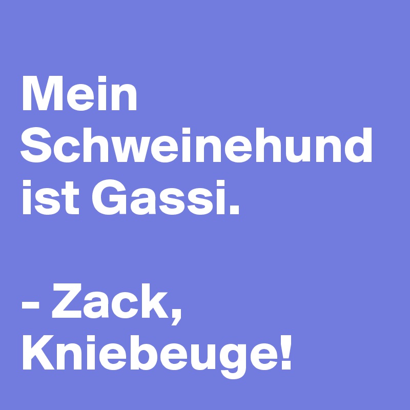 
Mein
Schweinehund ist Gassi. 

- Zack, Kniebeuge! 