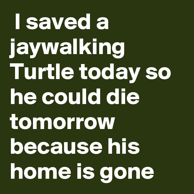  I saved a jaywalking Turtle today so he could die tomorrow because his home is gone