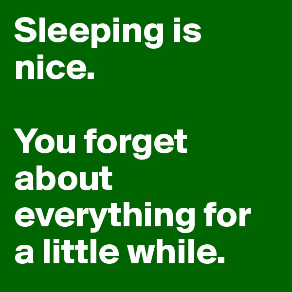 Sleeping is nice. 

You forget about everything for a little while. 