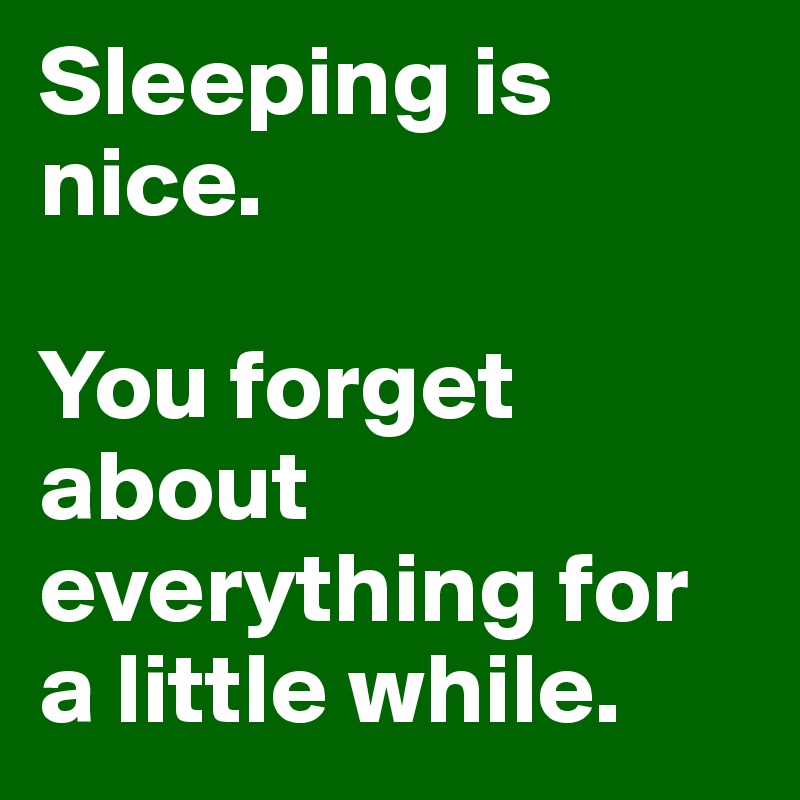 Sleeping is nice. 

You forget about everything for a little while. 