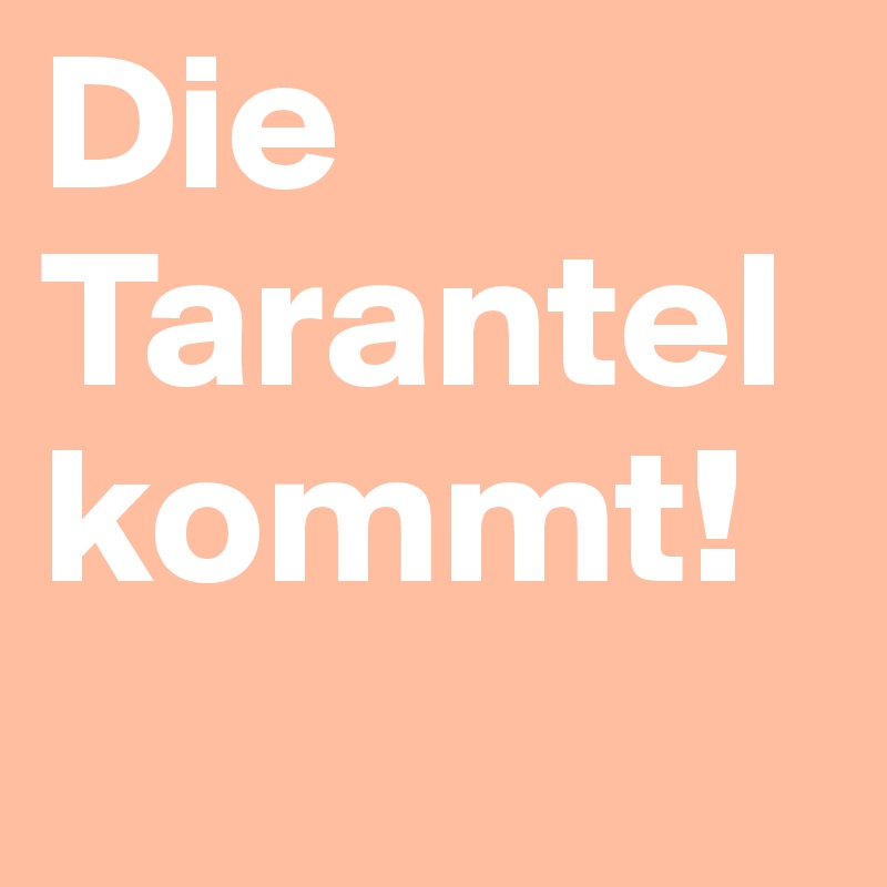 Die Tarantel kommt!
