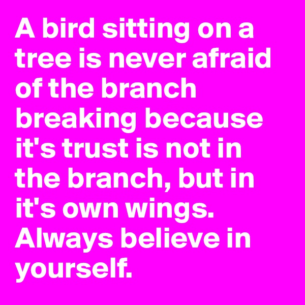 A bird sitting on a tree is never afraid of the branch breaking because it's trust is not in the branch, but in it's own wings. Always believe in yourself.