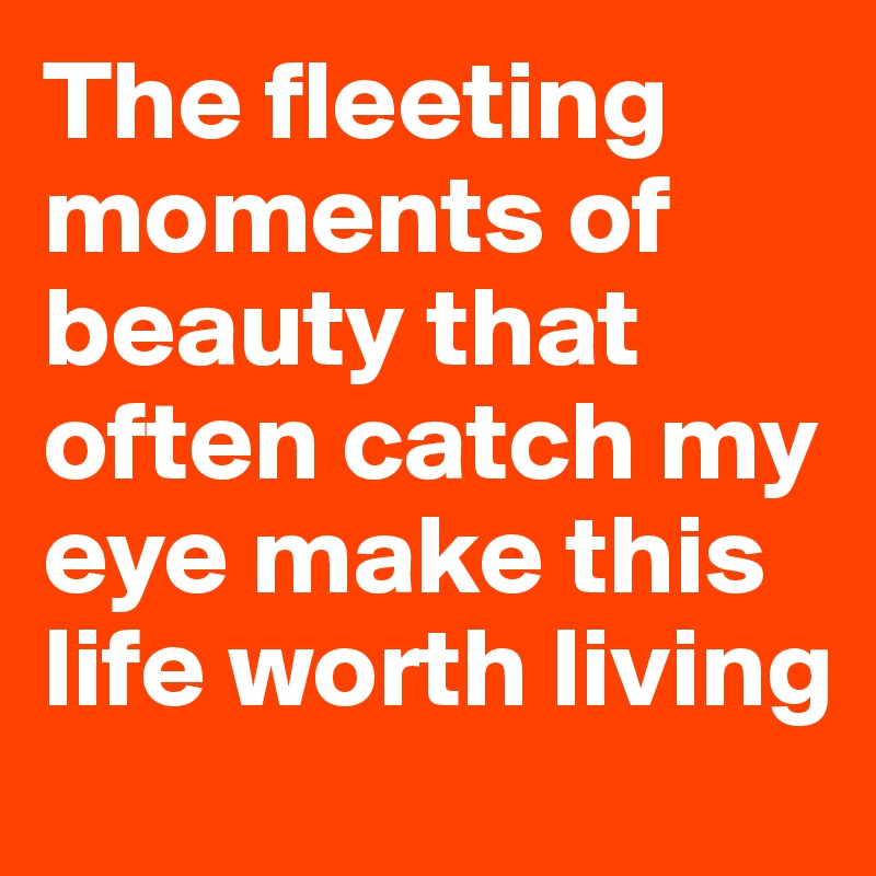 The Fleeting Moments Of Beauty That Often Catch My Eye Make This Life Worth Living Post By Petegutz2 On Boldomatic