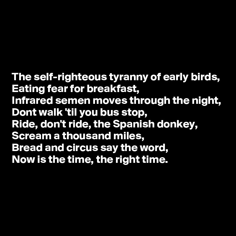 




The self-righteous tyranny of early birds,
Eating fear for breakfast,
Infrared semen moves through the night,
Dont walk 'til you bus stop,
Ride, don't ride, the Spanish donkey,
Scream a thousand miles,
Bread and circus say the word,
Now is the time, the right time.



