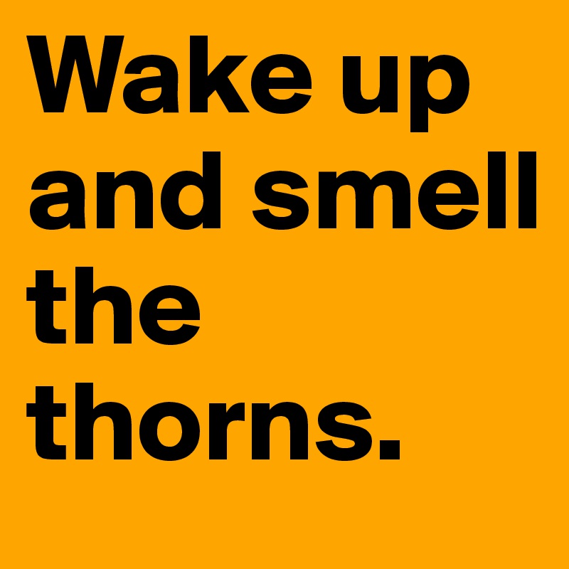 Wake up
and smell 
the
thorns.