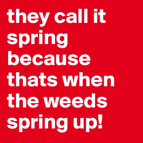 they call it spring because thats when the weeds spring up!
