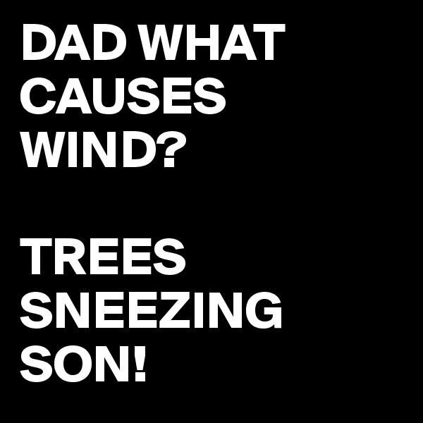 DAD WHAT CAUSES WIND?

TREES SNEEZING
SON! 