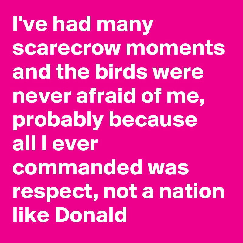 I've had many scarecrow moments and the birds were never afraid of me, probably because all I ever commanded was respect, not a nation like Donald
