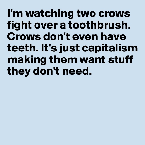I'm watching two crows fight over a toothbrush. Crows don't even have teeth. It's just capitalism making them want stuff they don't need. 




