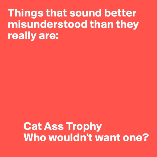 Things that sound better misunderstood than they really are:







       Cat Ass Trophy
       Who wouldn't want one?