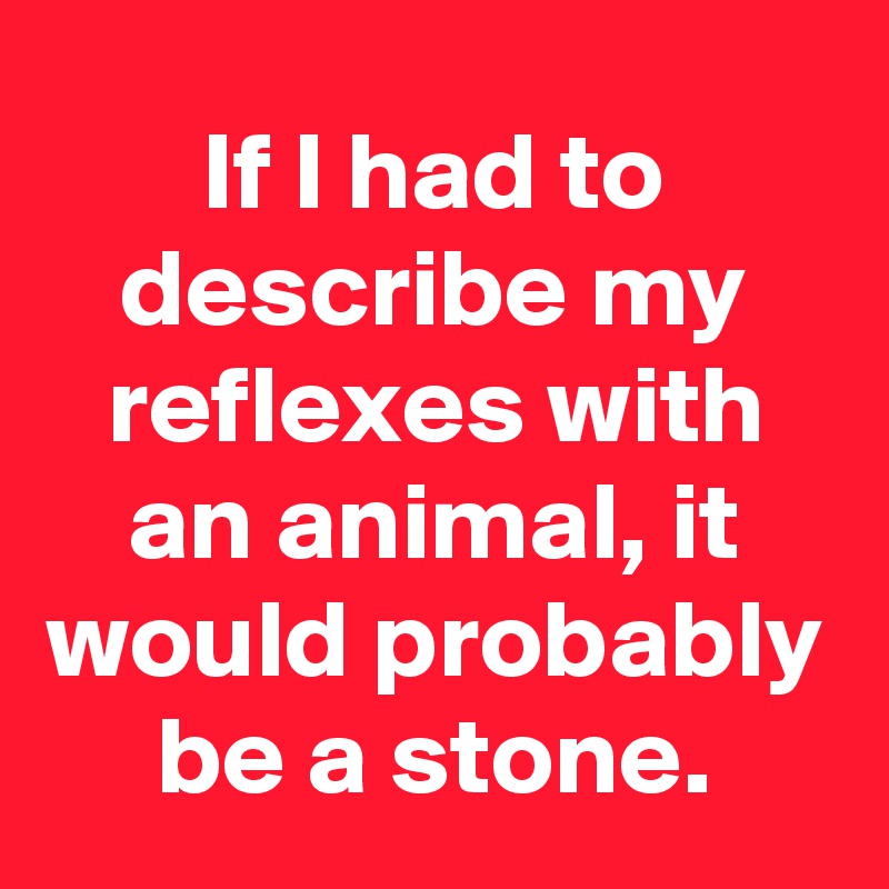If I had to describe my reflexes with an animal, it would probably be a stone.