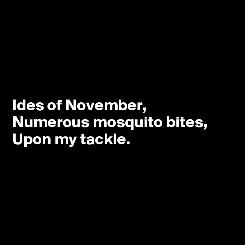 




Ides of November,
Numerous mosquito bites,
Upon my tackle.




