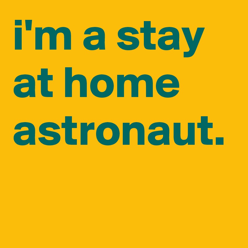 i'm a stay at home astronaut.
