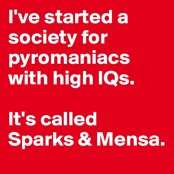 I've started a society for pyromaniacs with high IQs. 

It's called Sparks & Mensa. 